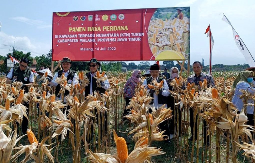 Kepala BNPT, Komjen Pol Boy Rafli Amar Panen Jagung Hibrida Pertama Di KTN