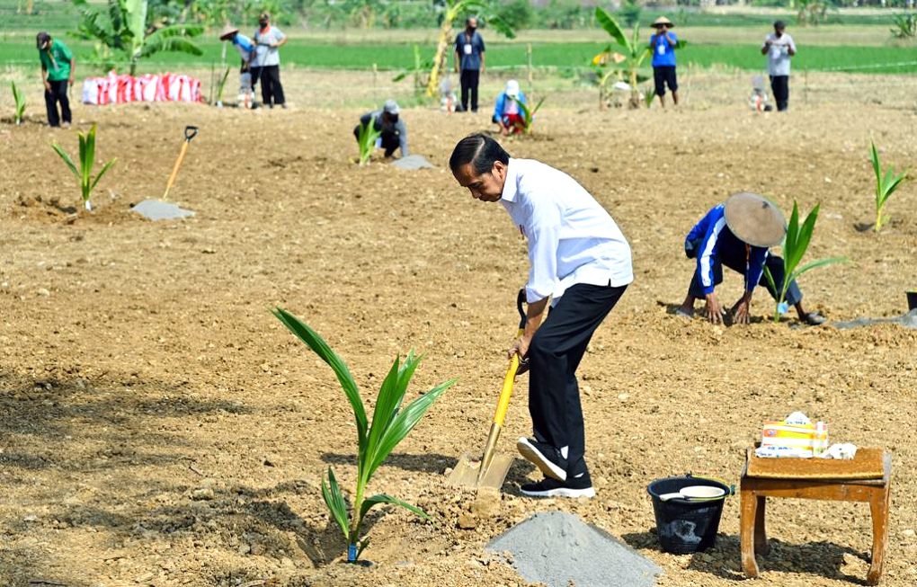 Hadapi Krisis Pangan, Dorong Pemanfaatan Lahan Pekarangan Dan Lahan Tidak Produktif