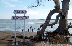 Bakau Abadi Pantai Marang Padaidi Kaliorang Kutai Timur