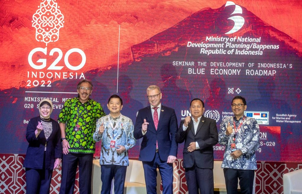 Indonesia Mampu Jadi Pemimpin Energi Hijau Di Asia Tenggara