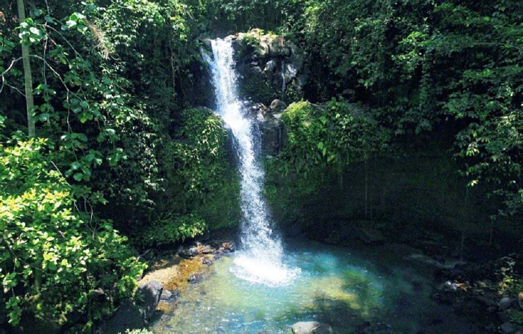 Inilah Pesona Dan Kesegaran Air Terjun Bibinoi