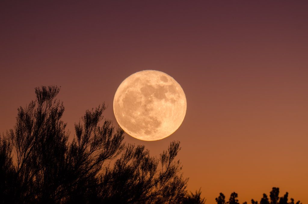 Besok Malam Masyarakat Bisa Saksikan Fenomena Super Moon