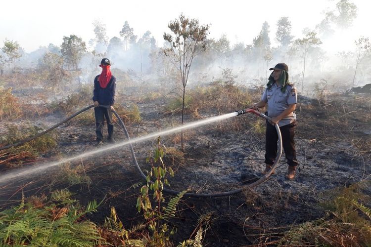 BPBD Pantau 12 Titik Api di Kalimantan Barat