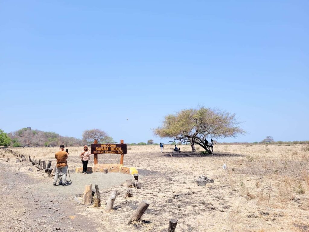 Pasca Kebakaran, Pengelola Perketat Akses Masuk Taman Nasional Baluran