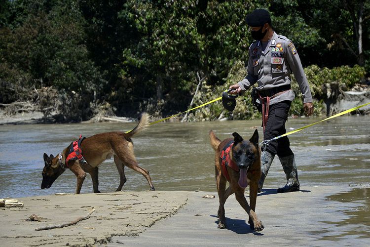 Polisi Kerahkan Anjing Pelacak Cari Pembunuh Gadis Penjual Gorengan